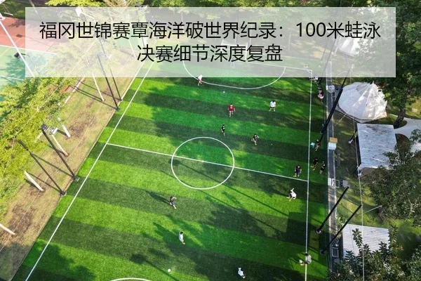 福冈世锦赛覃海洋破世界纪录：100米蛙泳决赛细节深度复盘